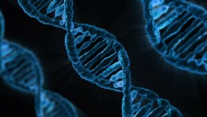 double helix